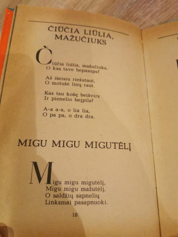 Su saule lijo - Pranė Jokimaitienė, knyga 6