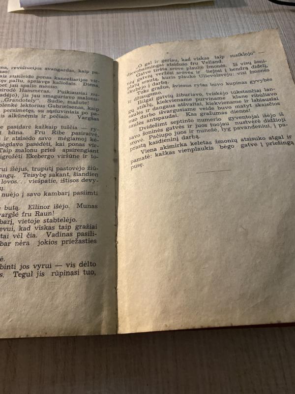 Padorūs namai Oslo mieste - Sigurd Hoel, knyga 6