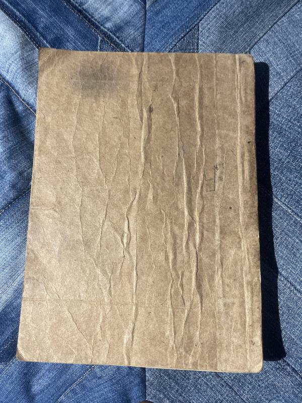 Ramybės drumstėjas - L. Solovjovas, knyga 4