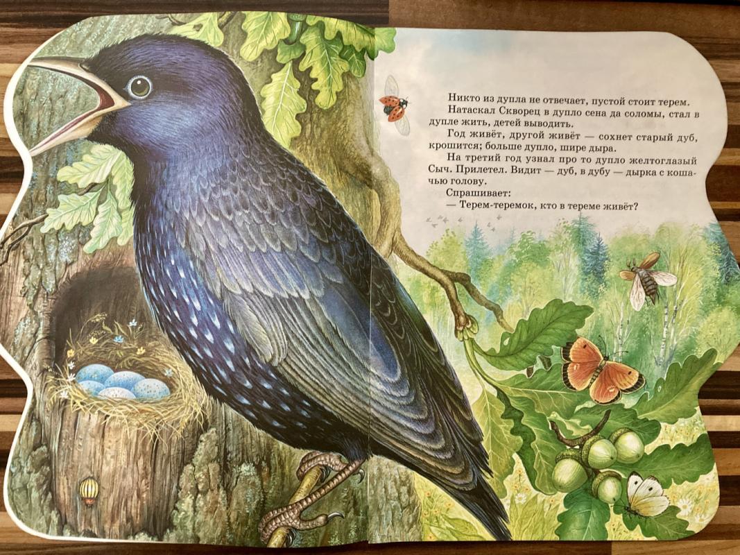 Teremok - Vitalijus Biankis, knyga 3