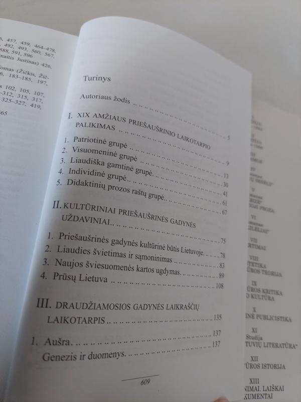 V. Mykolaitis Putinas, Raštai 11-1 tomas - Vincas Mykolaitis-Putinas, knyga 4