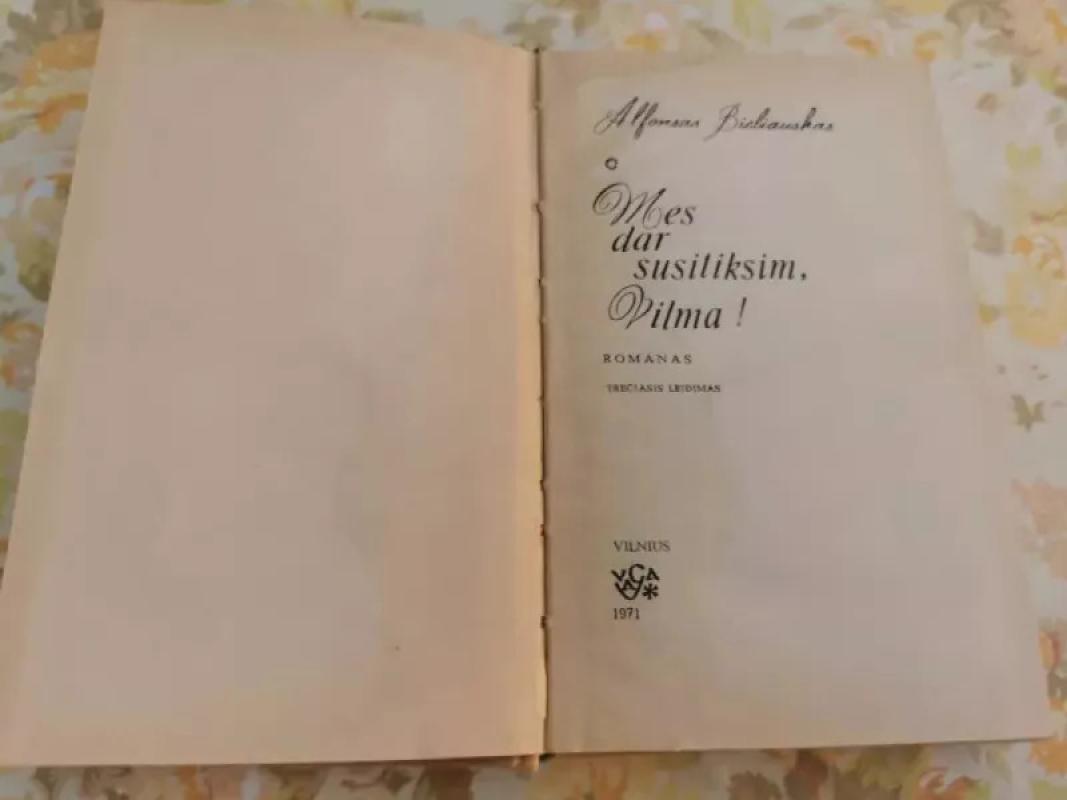 Mes dar susitiksim, Vilma! - Alfonsas Bieliauskas, knyga 4
