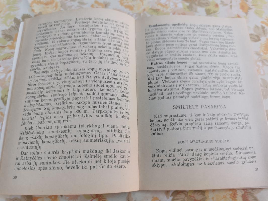 Dzūkijos kopos - R. Vaitonienė, knyga 4