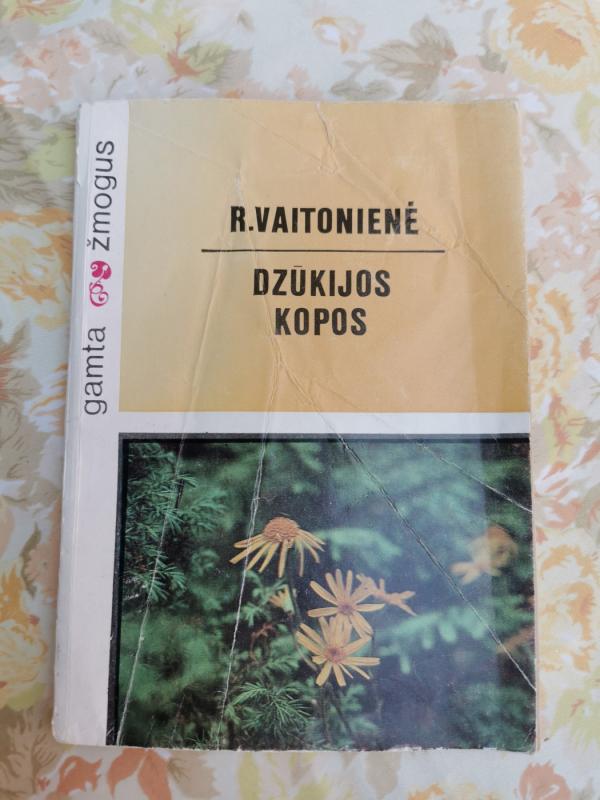 Dzūkijos kopos - R. Vaitonienė, knyga 2