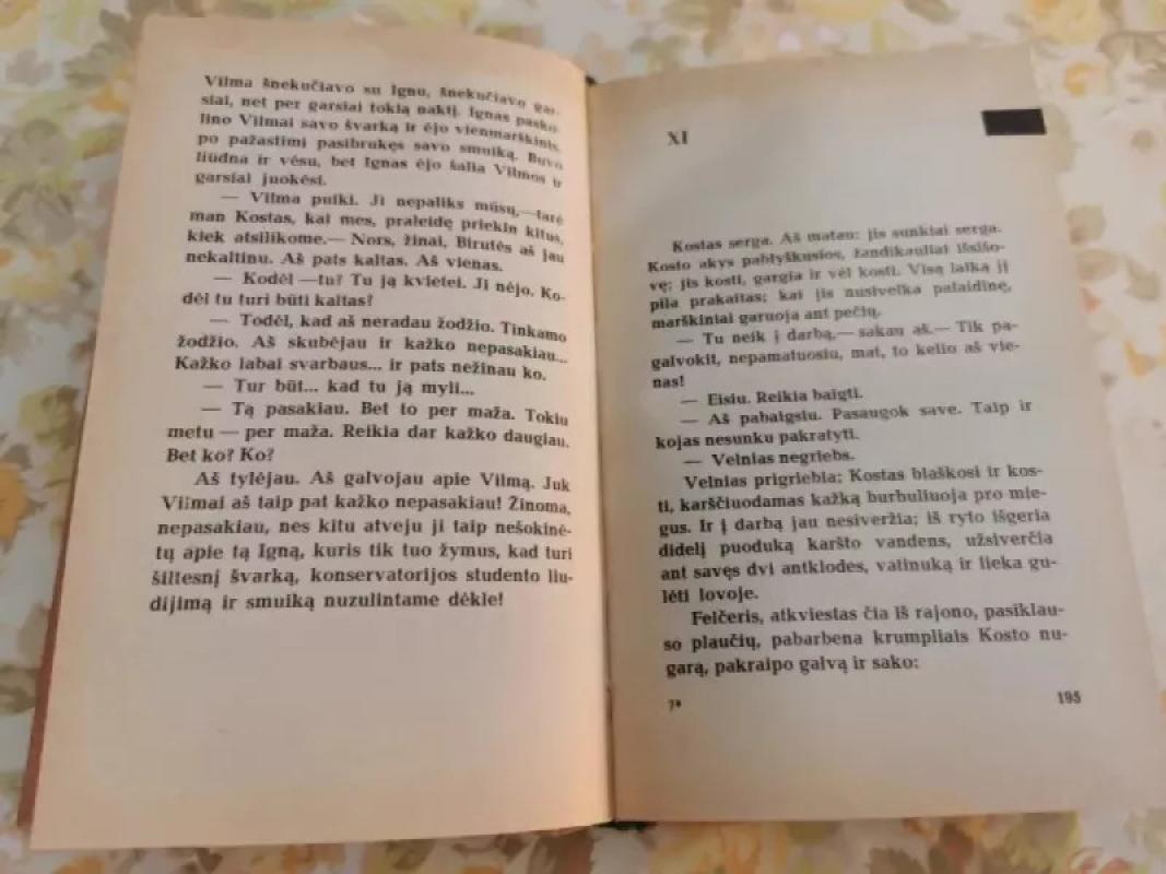 Mes dar susitiksim, Vilma! - Alfonsas Bieliauskas, knyga 5