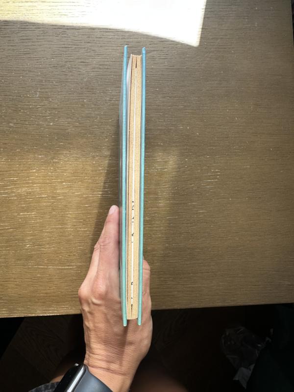 Džiakomo Džoisas - James Joyce, knyga 3