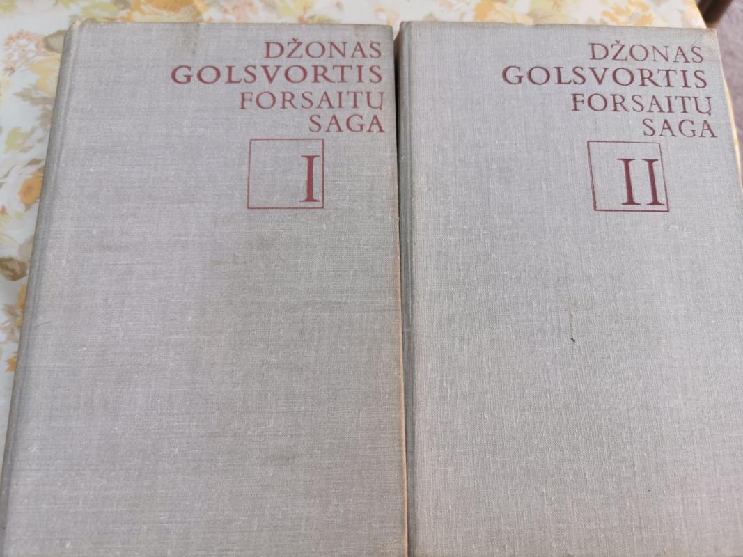 Forsaitų saga (2 tomai) - Džonas Golsvortis, knyga 3