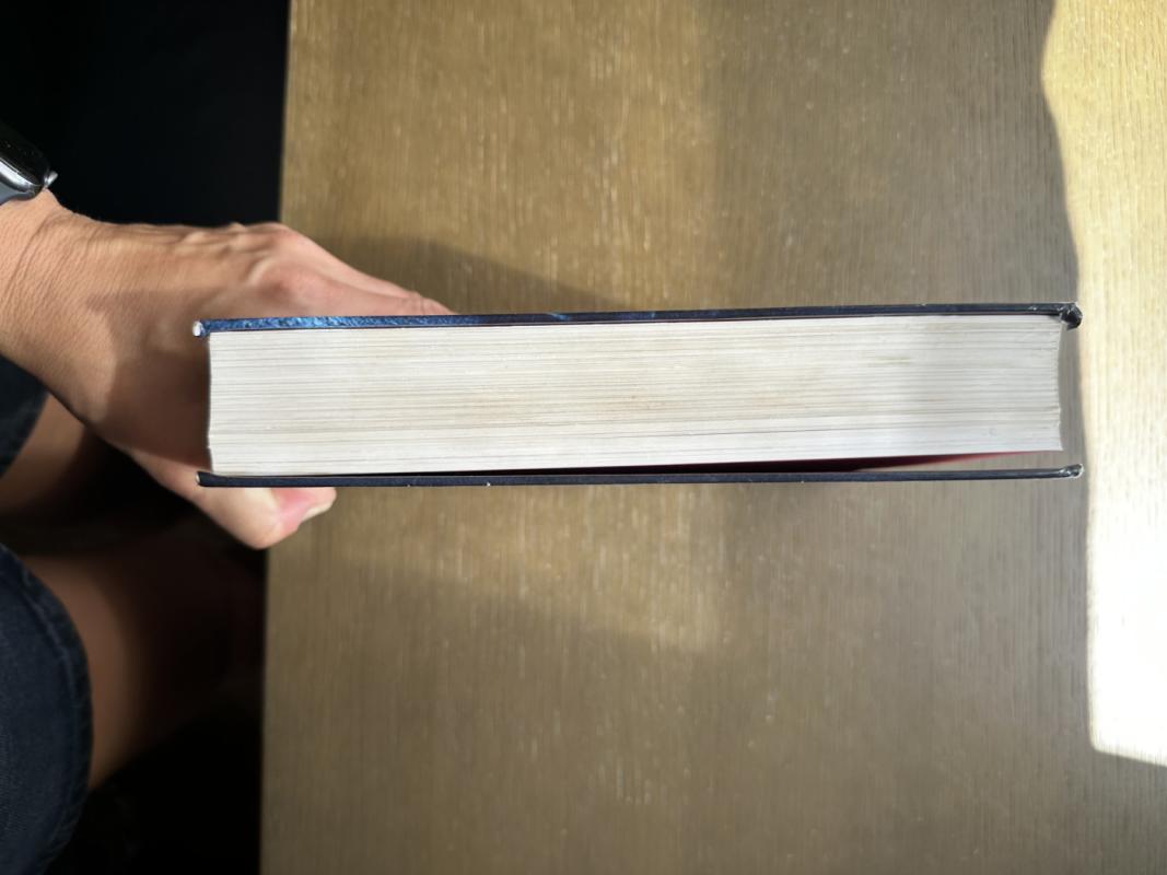 Lemtingi sprendimai. Antrasis pasaulinis karas Europoje. Antra knyga - Robertas Petrauskas, knyga 3