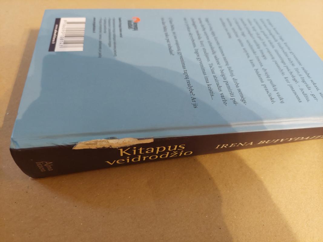 Kitapus veidrodžio - Irena Buivydaitė, knyga 4