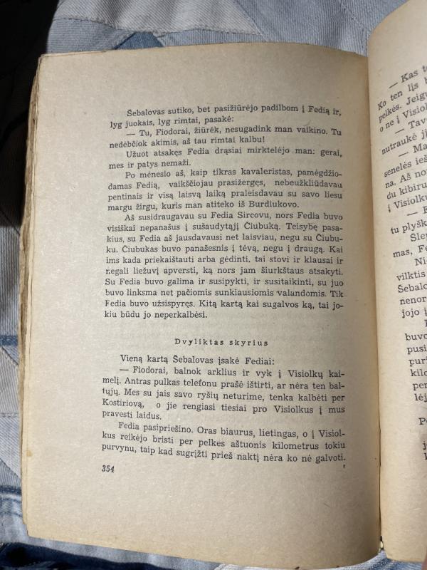 Būgnininko likimas - Arkadijus Gaidaras, knyga 4