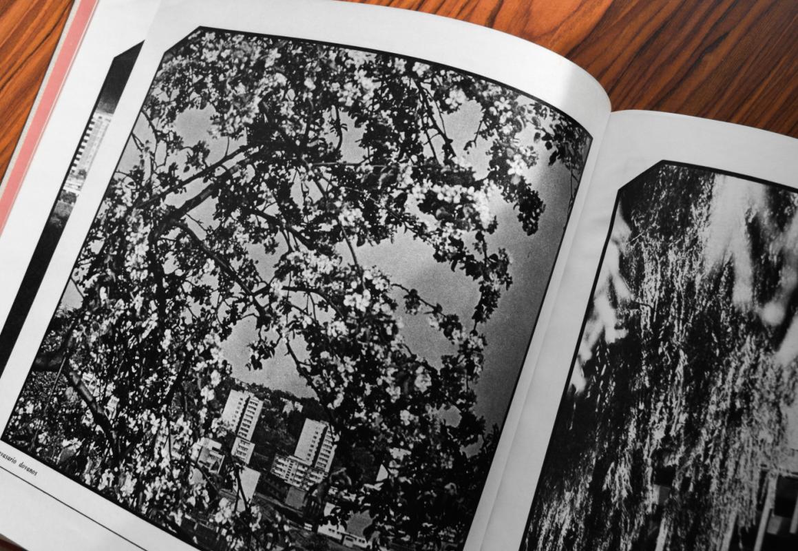 Mūsų Kaunas - Romualdas Rakauskas, knyga 6