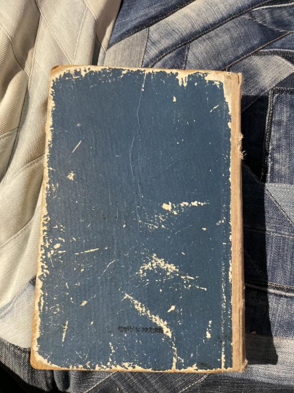 Užburtoji siela - Romenas Rolanas, knyga 4