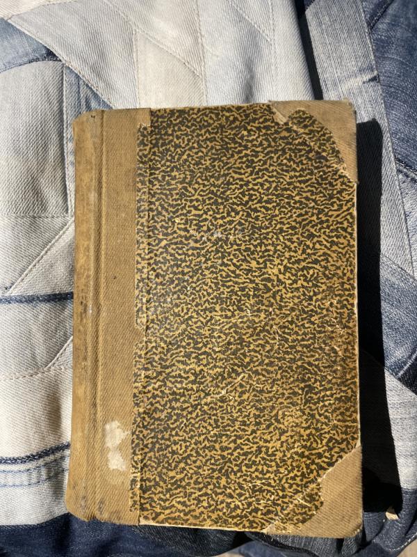 Blaškomos liepsnos (II dalis) - Fabijonas Neveravičius, knyga 2