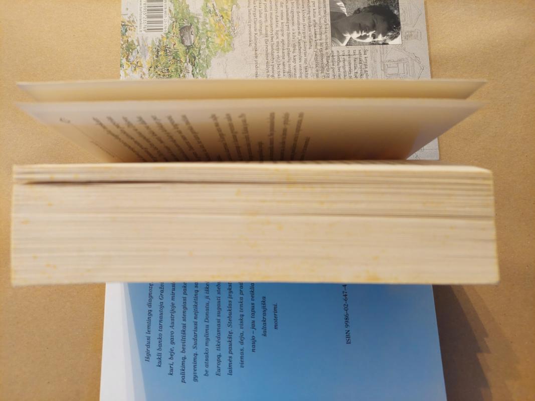 Nepasotinamoji - Valerie Tasso, knyga 3