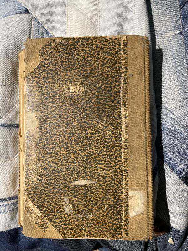 Blaškomos liepsnos (II dalis) - Fabijonas Neveravičius, knyga 6