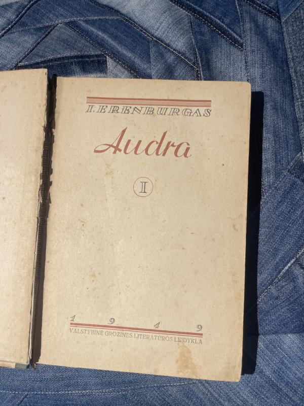 Audra - I. Erenburgas, knyga 4