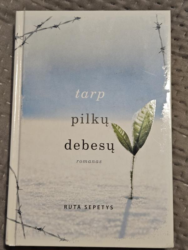 Tarp pilkų debesų - Šepetys Ruta, knyga 2