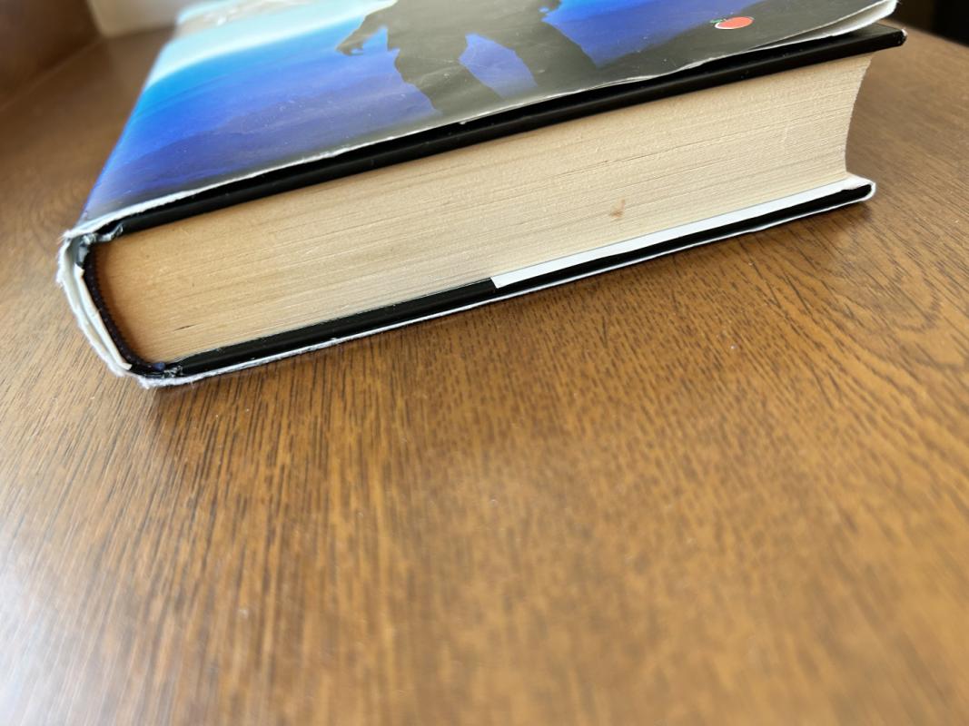 Šaltasis kalnas - Charles Frazier, knyga 4