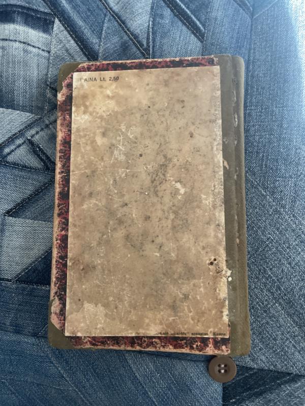 Žmogus, kuris juokiasi IV tomas - Viktoras Hugo, knyga 5