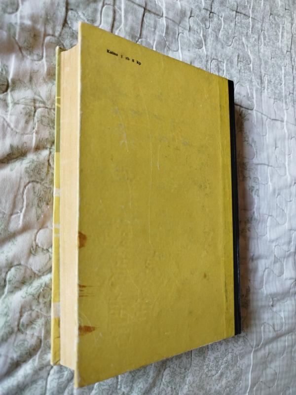 Kapitono Blado odisėja - Rafaelis Sabatinis, knyga 6