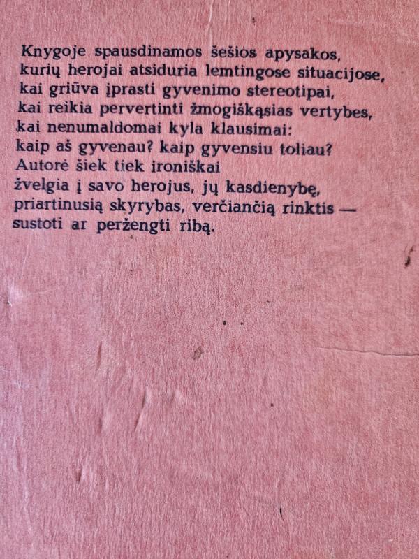 Žvaigždė migloje - Viktorija Tokareva, knyga 3