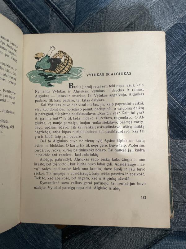 Ir aš mažas buvau - Pranas Mašiotas, knyga 4