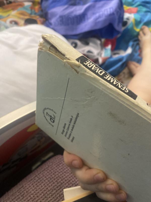 Sename dvare -  Šatrijos Ragana, knyga 2