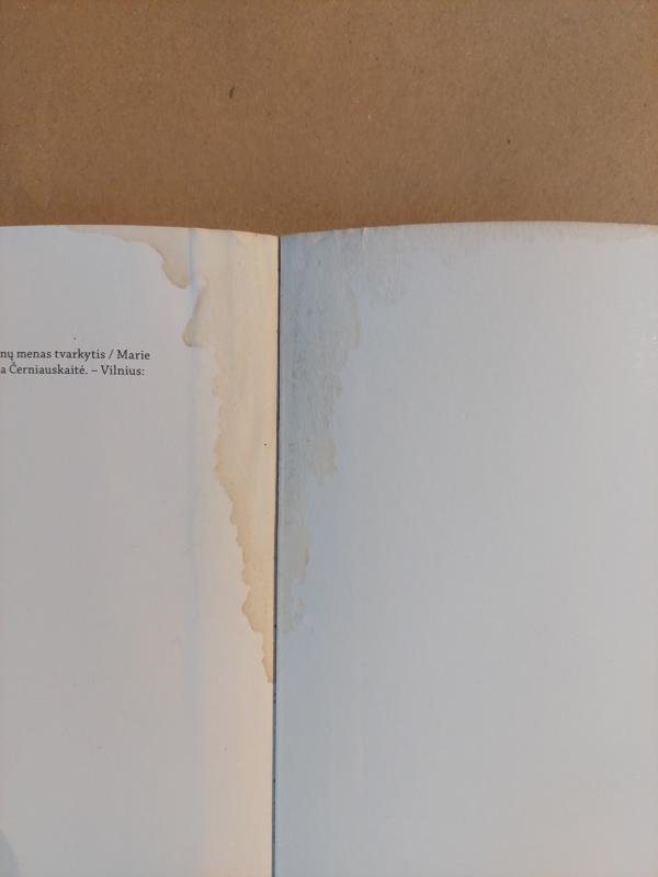 Tvarkingų namų stebuklas - Marie Kondo, knyga 5