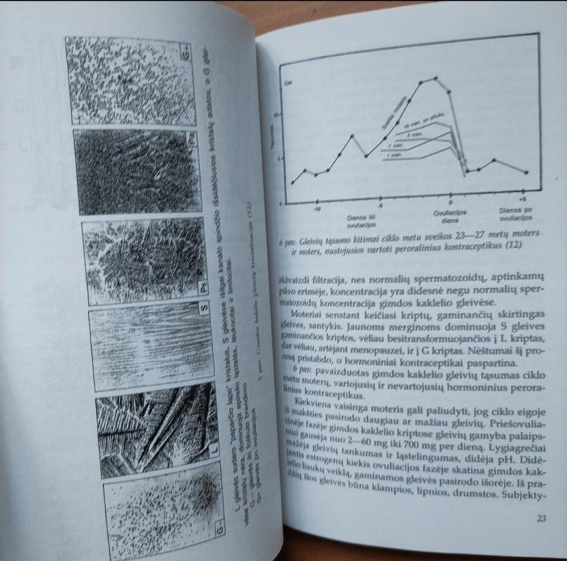 Vaisingumo pažinimas - Virgilijus Rudzinskas, knyga 4