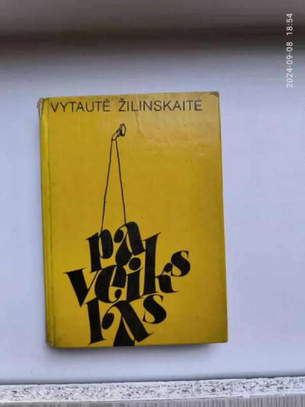 Paveikslas - Vytautė Žilinskaitė, knyga 2