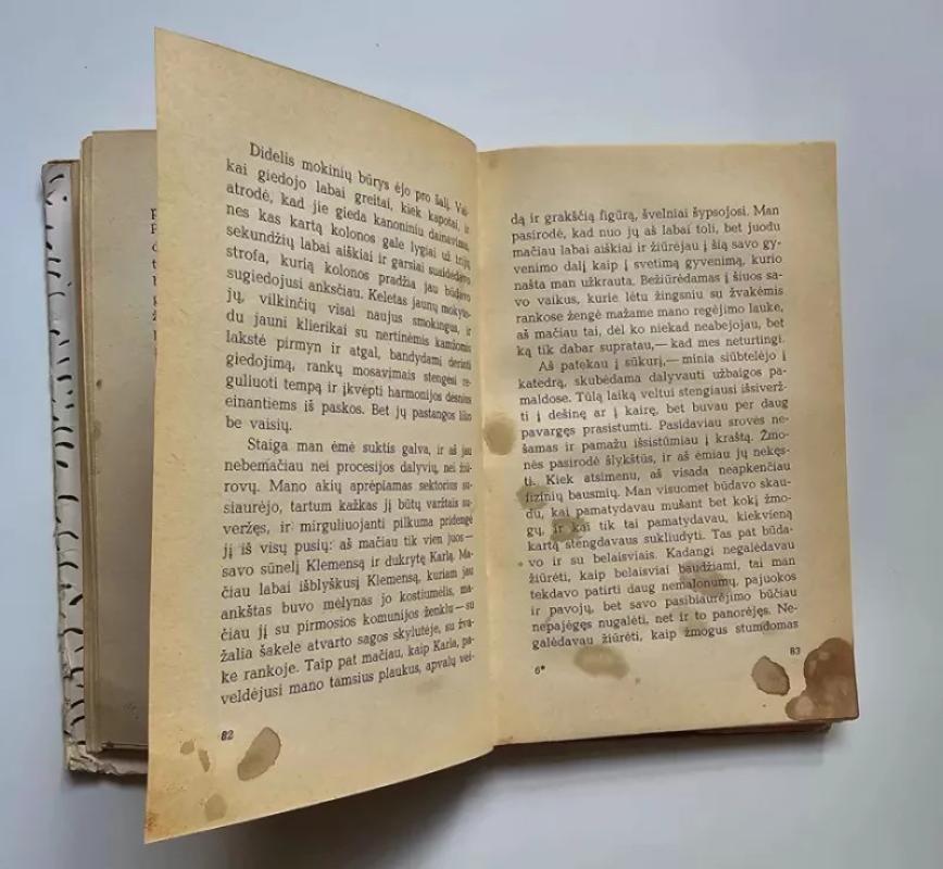 Ir nepasakė nė žodžio - H. Belis, knyga 6