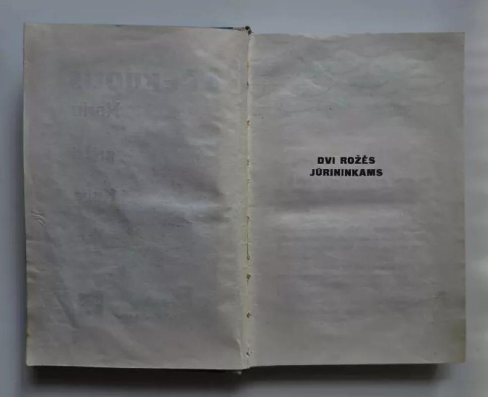 Noriu grįžti į Kubą - Algimantas Čekuolis, knyga 4