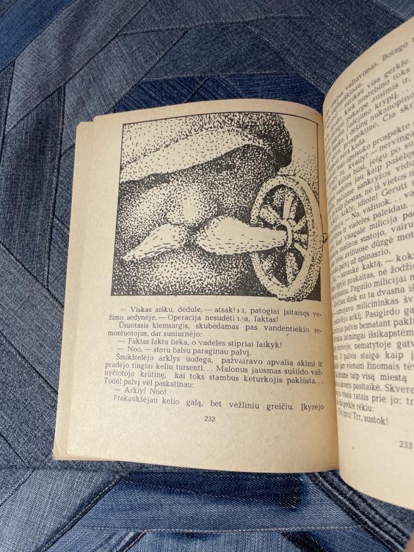 Danuko Dunduliuko nuotykiai - Vytautas Misevičius, knyga 5