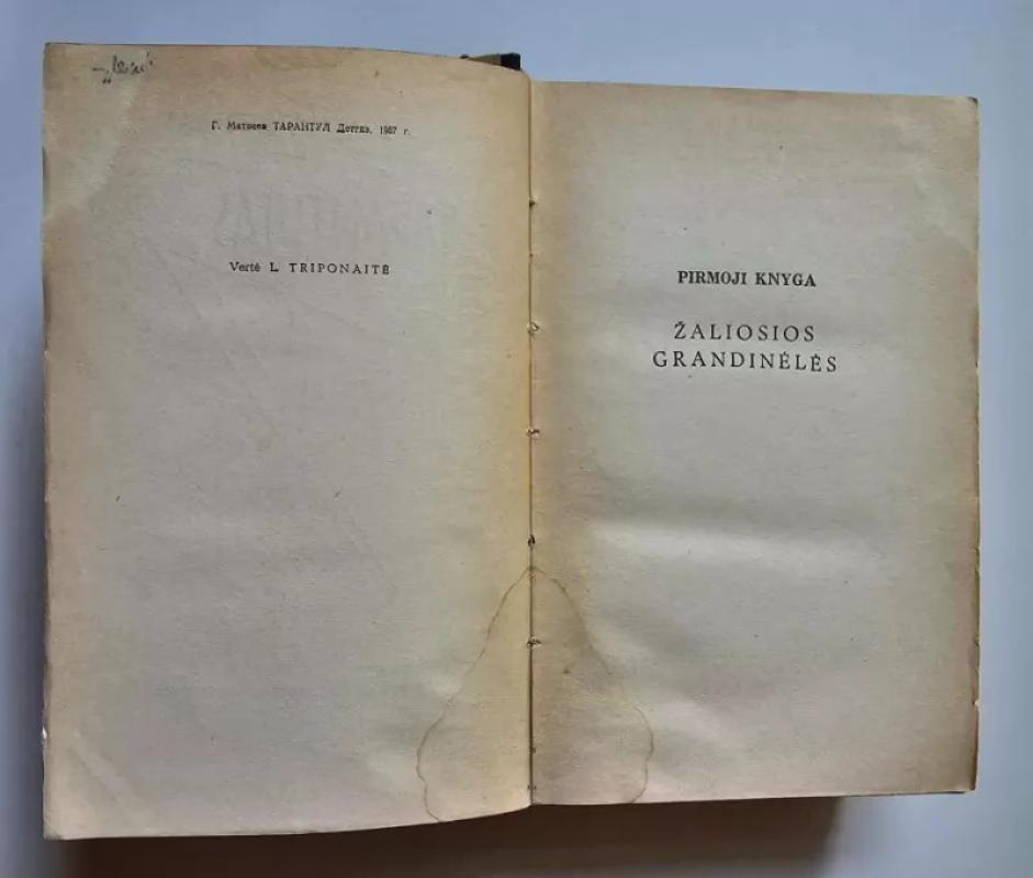 Tarantulas - Germanas Matvejevas, knyga 4