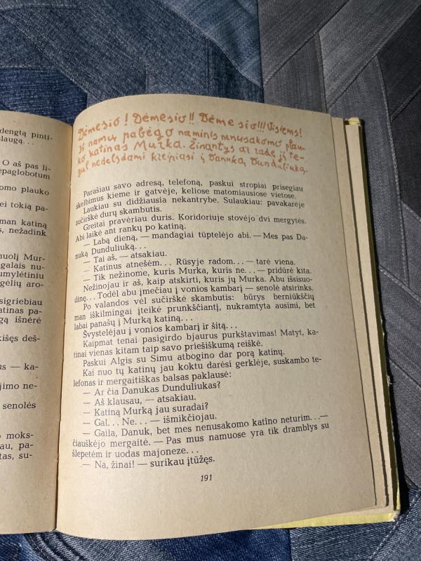 Danuko Dunduliuko nuotykiai - Vytautas Misevičius, knyga 4