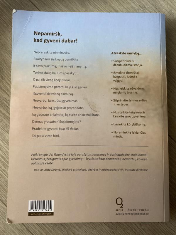 DZENiškas gyvenimas - G. MacClain, E.  Adamson, knyga 4