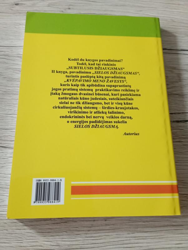 Sielos džiaugsmas 2 knyga: subtilusis džiaugsmas - Stasys Dragūnas, knyga 3