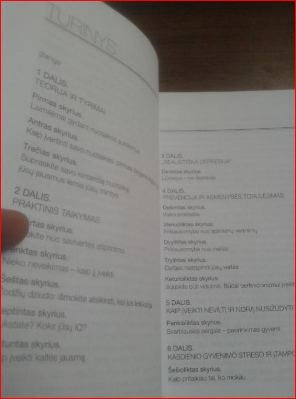 Geros nuotaikos vadovas. Nauja emocijų terapija - David D. Burns, knyga 5