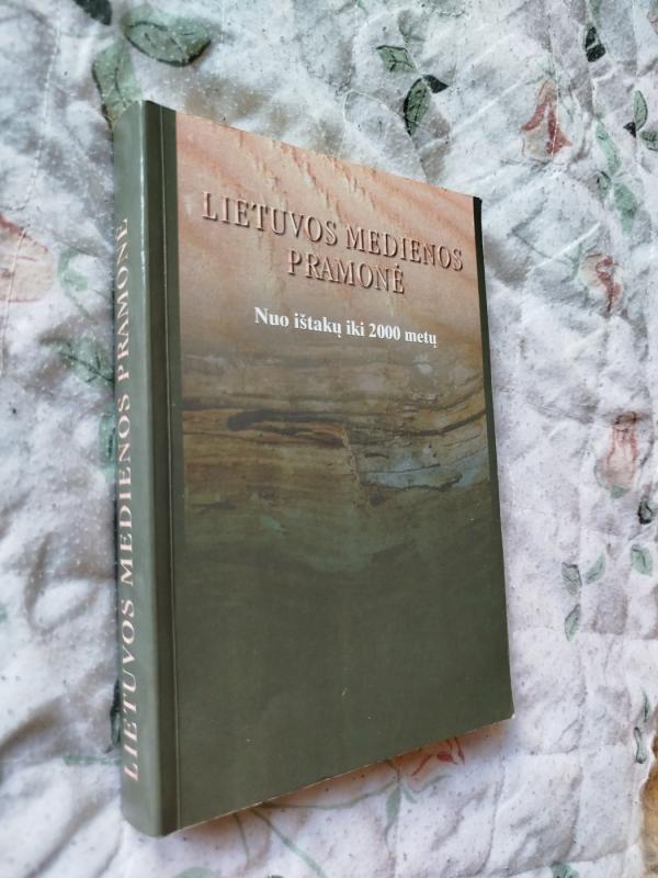 Lietuvos medienos pramonė. Nuo ištakų iki 2000 metų - Antanas Morkevičius, knyga 2