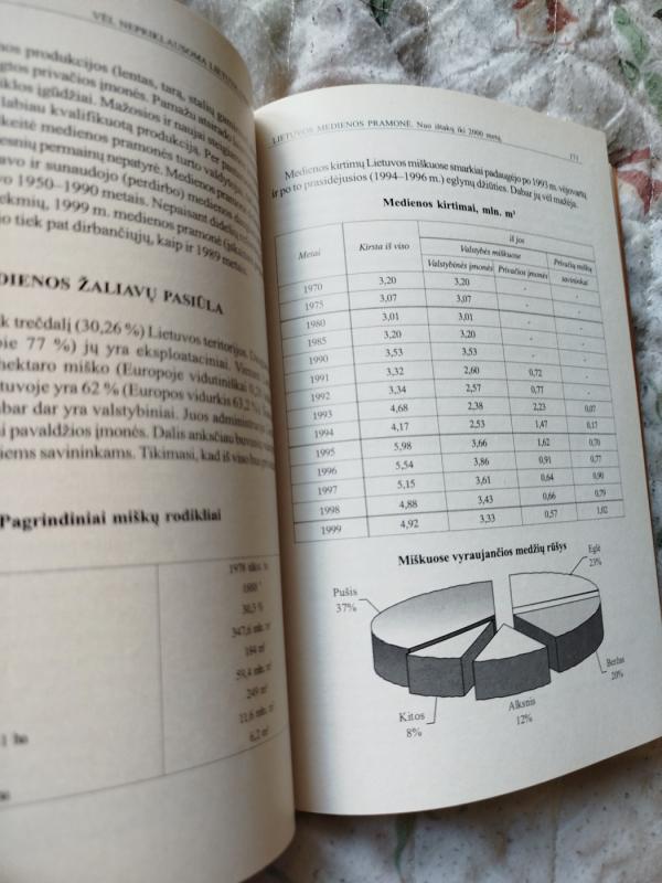 Lietuvos medienos pramonė. Nuo ištakų iki 2000 metų - Antanas Morkevičius, knyga 4