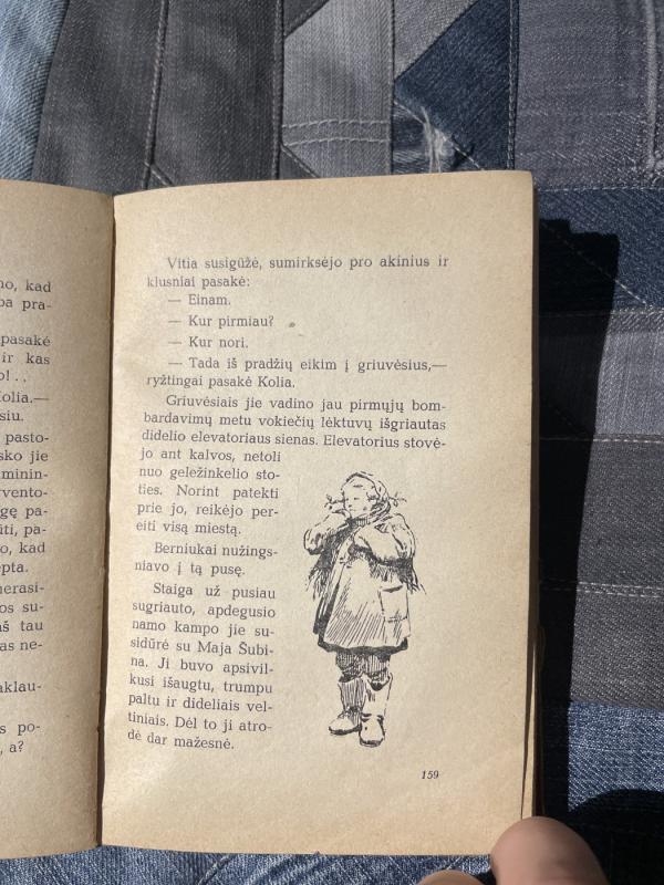 Apkaustyta skrynia - A. Voinovas, knyga 4