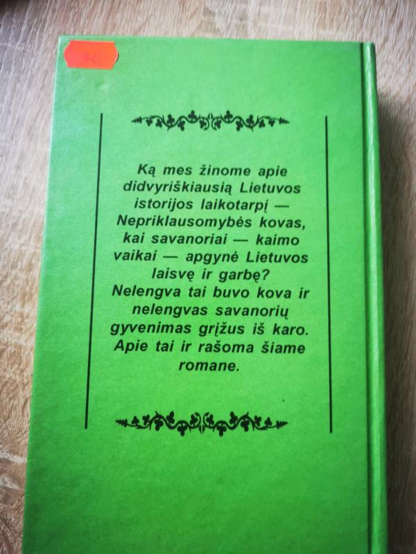 Savanoriai - Pranas Sasnauskas, knyga 4