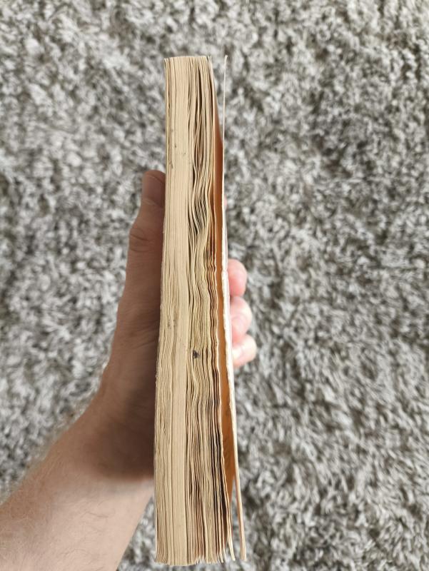 Goblinų veidrodis (147) - C.J. Cherryh, knyga 2