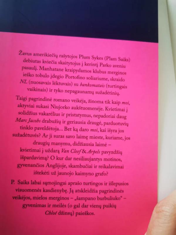 Bergdorfo blondinės - Plum Sykes, knyga 6