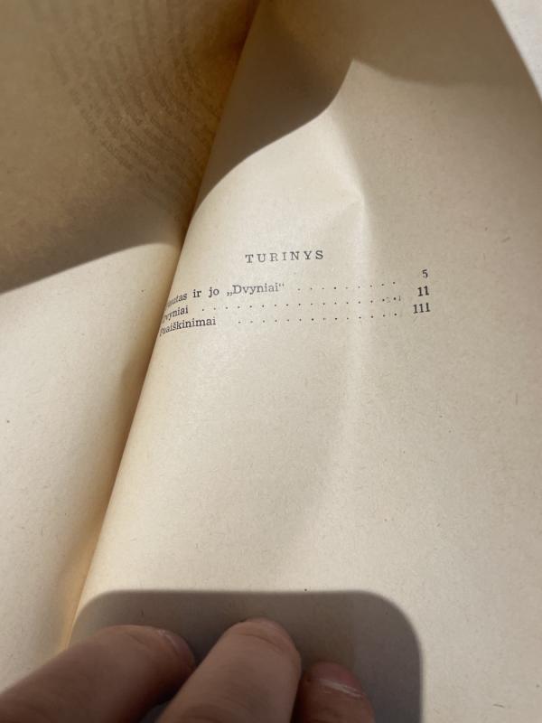 Dvyniai - Autorių Kolektyvas, knyga 5