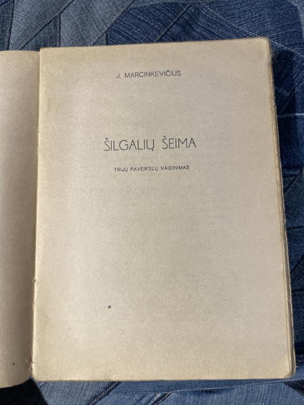 Saviveiklos teatras - Autorių Kolektyvas, knyga 4