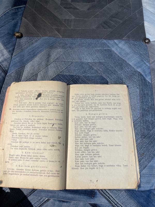 Jaunasis rašytojas . Rašomųjų darbų rinkinys : I dalis - A. Busilas, knyga 5