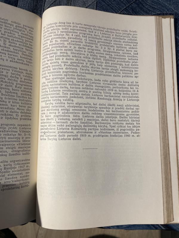 Iš lietuvių kultūros istorijos (3 tomas) - Autorių Kolektyvas, knyga 4