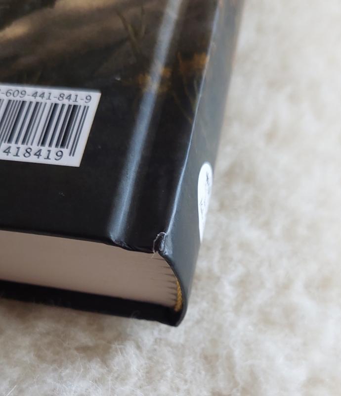 Akys - Aurelija Savickienė, knyga 5