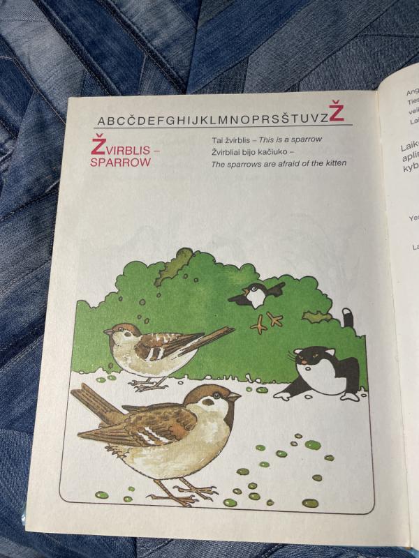 Lietuvių-anglų kalbų žodynas vaikams - Valdas Petrauskas, knyga 6